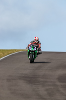 PJ-Motorsport-2019;anglesey-no-limits-trackday;anglesey-photographs;anglesey-trackday-photographs;enduro-digital-images;event-digital-images;eventdigitalimages;no-limits-trackdays;peter-wileman-photography;racing-digital-images;trac-mon;trackday-digital-images;trackday-photos;ty-croes